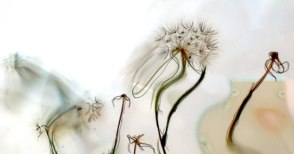 Glasbaustein pusteblume 04156 bemalt01