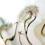 Glasbaustein pusteblume 04156 bemalt01