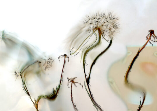 Glasbaustein pusteblume 04156 bemalt01