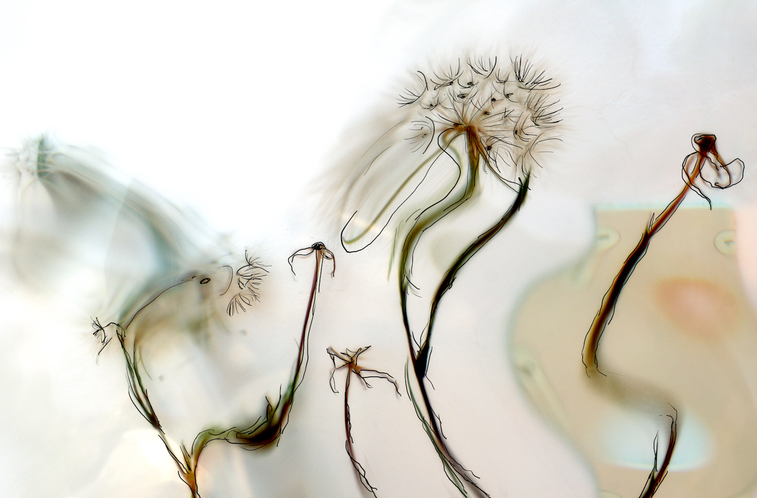 Glasbaustein pusteblume 04156 bemalt01