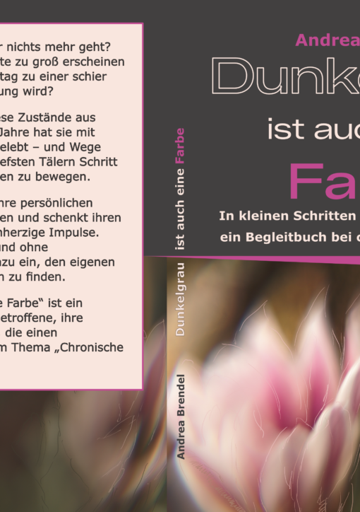 Entwurf cover mittagsblume grau