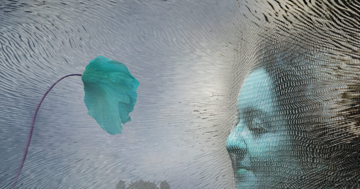 Collage netzgesicht 03