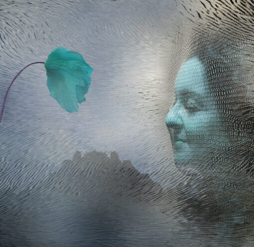 Collage netzgesicht 03