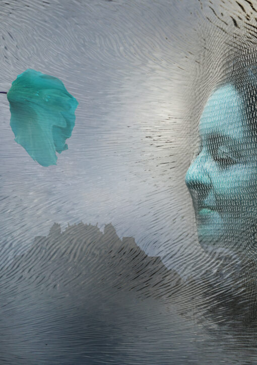 Collage netzgesicht 03