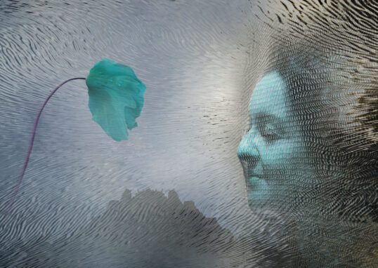 Collage netzgesicht 03