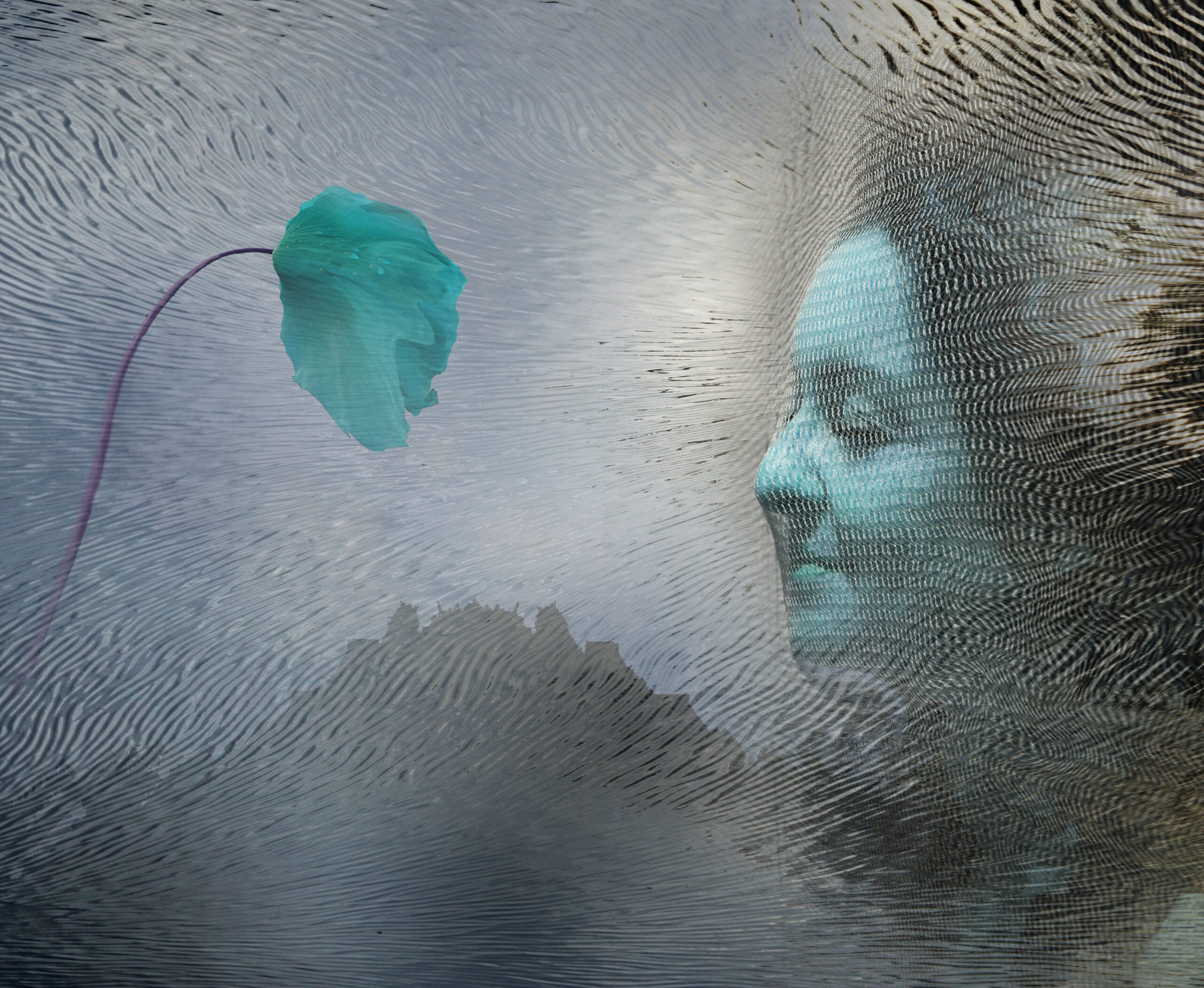 Collage netzgesicht 03